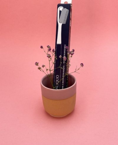 Brosse à dents en bois de chêne rechargeable -  Caliquo
