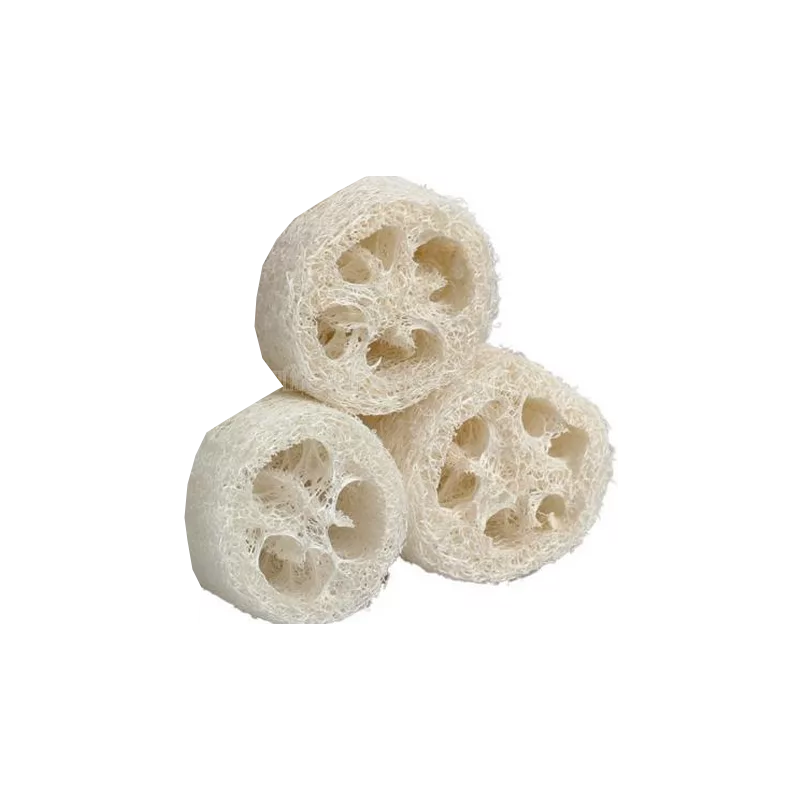 Loofah support à savon - Petit - MöBiUS