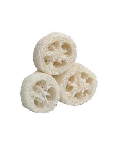 Loofah support à savon- Grand - MöBiUS