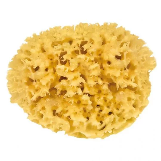 EPONGE DE BAIN NATURELLE 9cm  - Croll & Denecke – Image 2