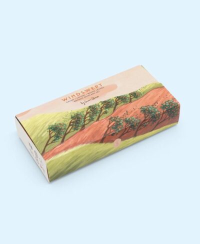 Windswept - Artisan Skincare Set - Savon Stories