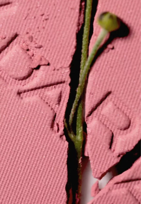 Magnetic Blush - Cold Cheeks 3 – Image 2