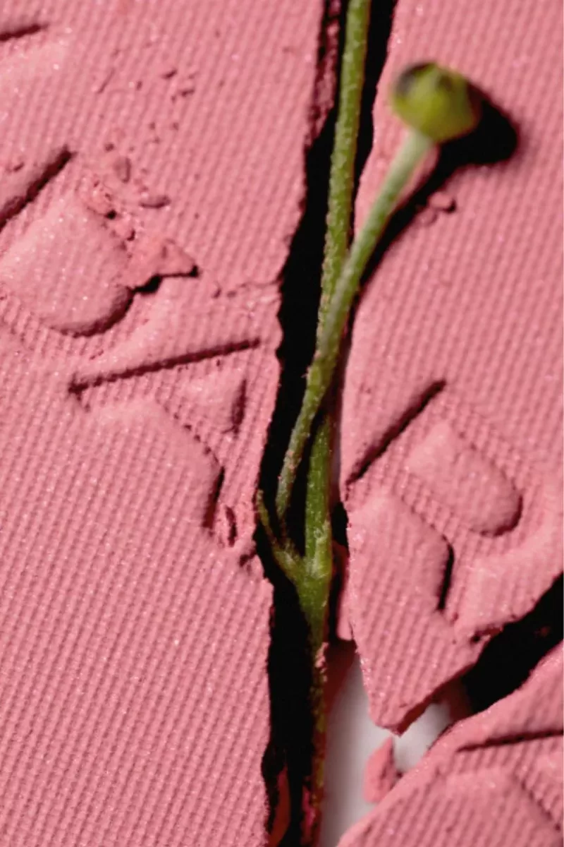 Magnetic Blush - Cold Cheeks 3