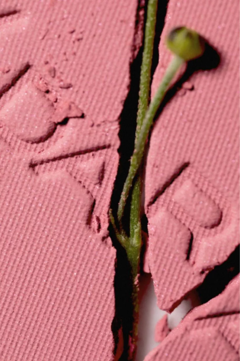 Magnetic Blush - Cold Cheeks 3 – Image 2