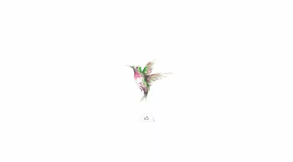 Tatouage éphémère : Colibri - Sioou