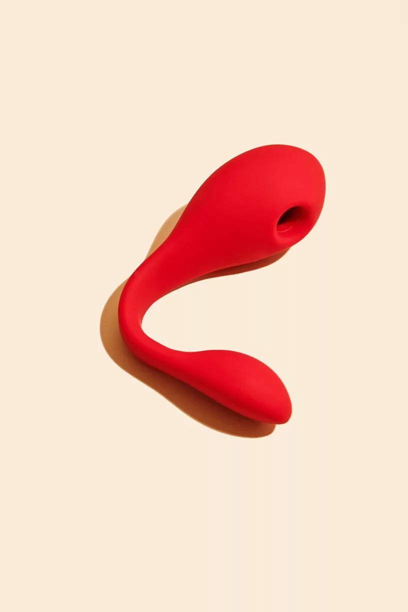 Coco De Noël - Puissante – Image 2