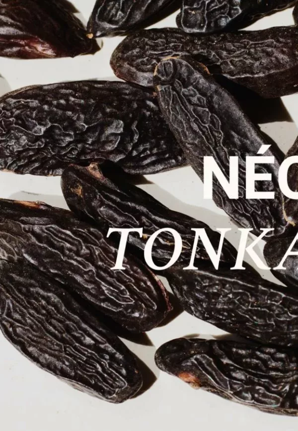 Croissant café - 001 NÉO TONKA - Versatile – Image 5