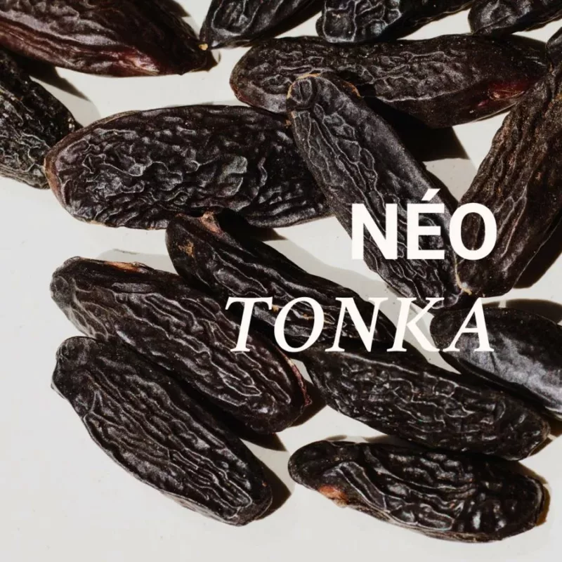 Croissant café - 001 NÉO TONKA - Versatile