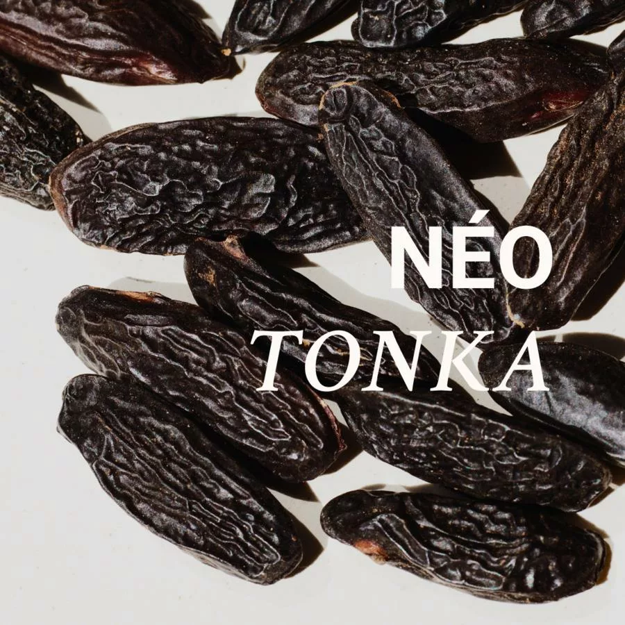 Croissant café - 001 NÉO TONKA - Versatile – Image 5