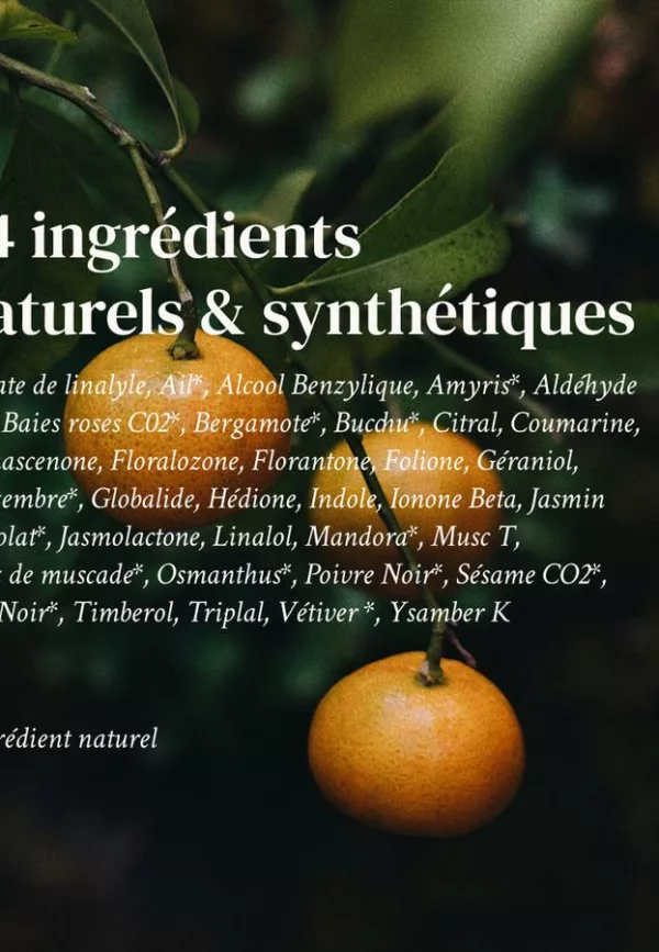 Culot Thé - 002 NÉO JASMIN - Versatile – Image 3