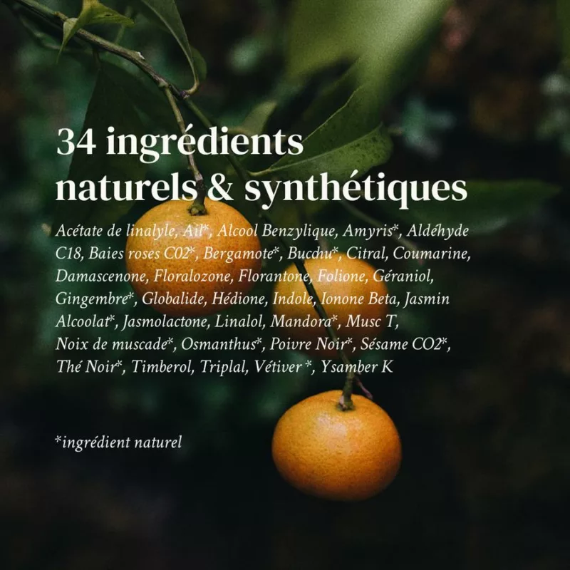 Culot Thé - 002 NÉO JASMIN - Versatile