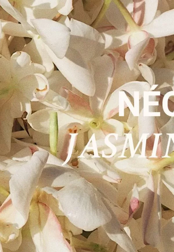 Culot Thé - 002 NÉO JASMIN - Versatile – Image 5