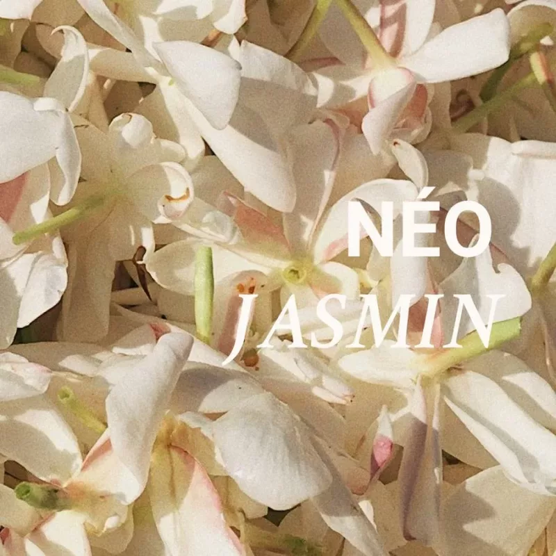 Culot Thé - 002 NÉO JASMIN - Versatile
