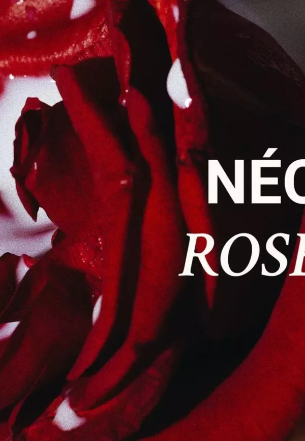 Accrodisiaque - 003 NÉO ROSE - Versatile – Image 3