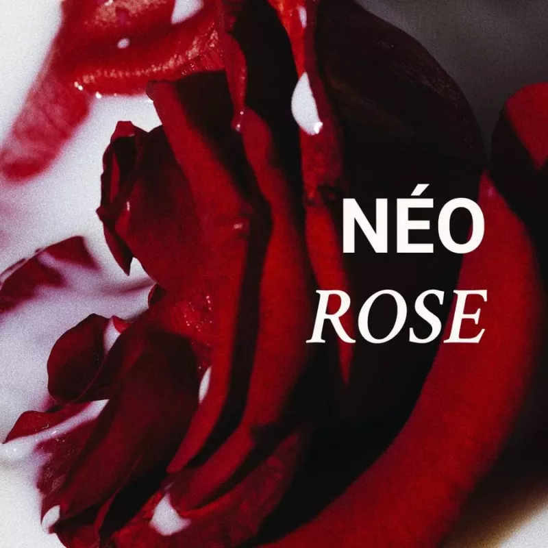 Accrodisiaque - 003 NÉO ROSE - Versatile