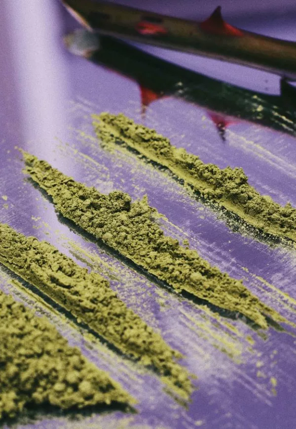 Accrodisiaque - 003 NÉO ROSE - Versatile – Image 5