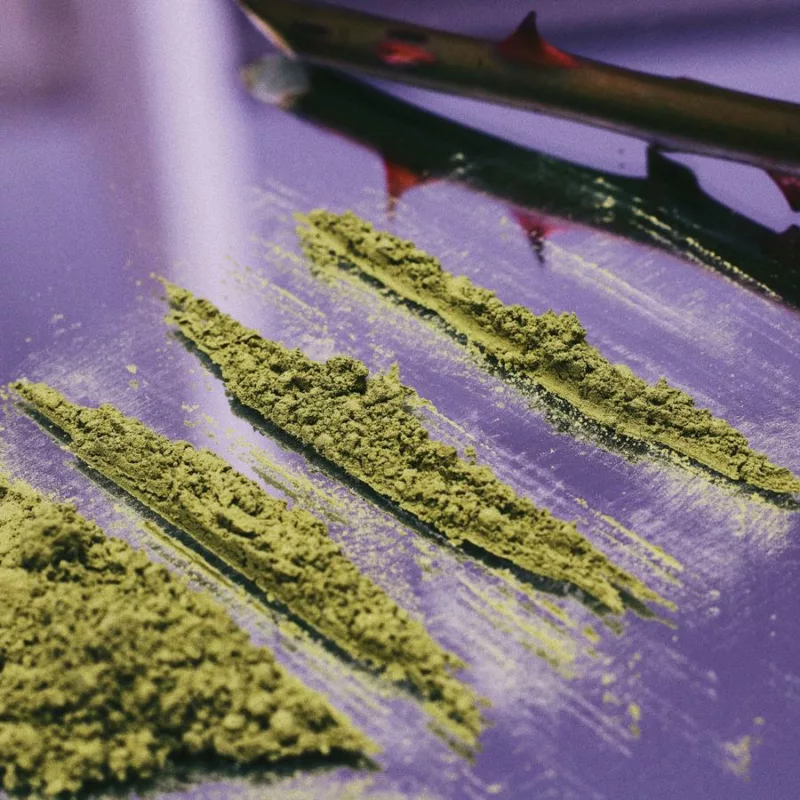 Accrodisiaque - 003 NÉO ROSE - Versatile