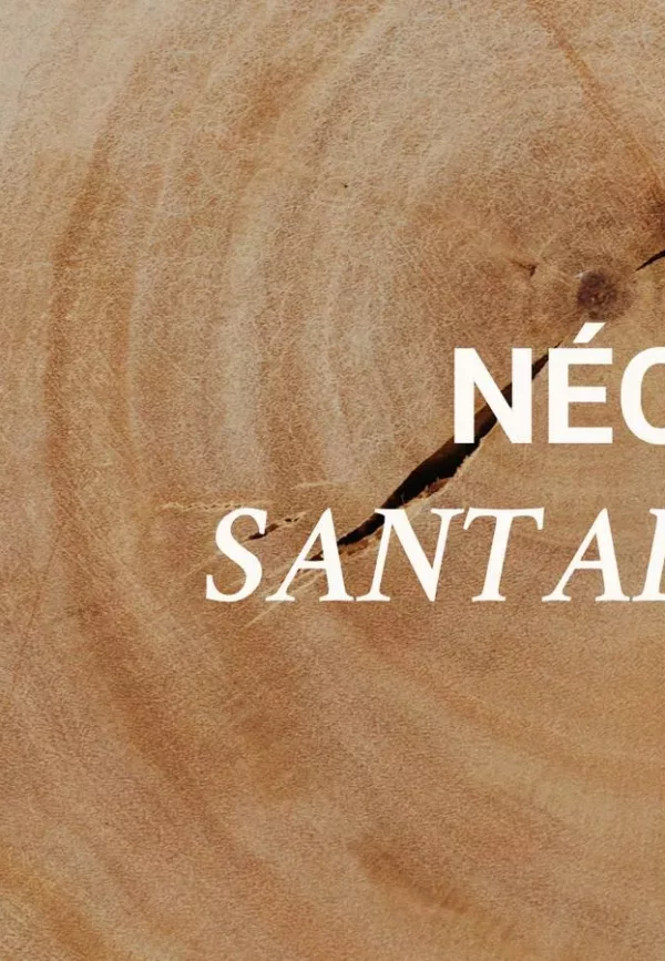 Gueule de bois - 004 NÉO SANTAL - Versatile – Image 3