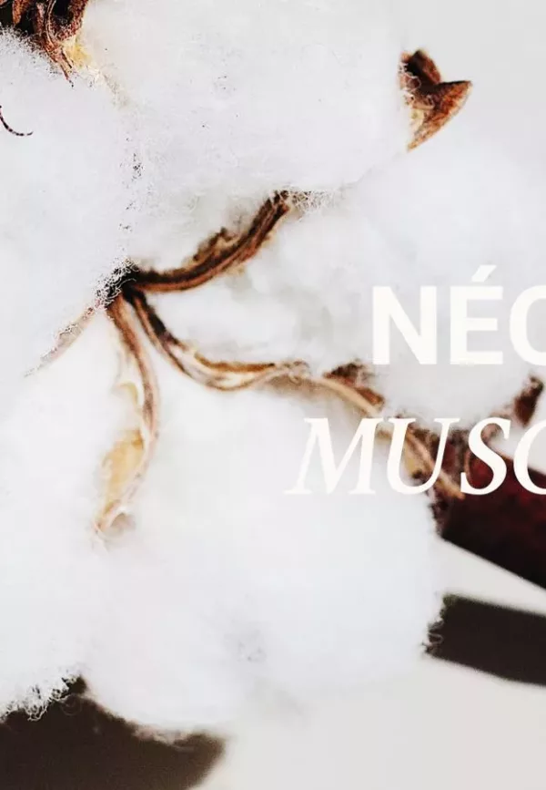 Dimanche flemme - 005 NÉO MUSC - Versatile – Image 3