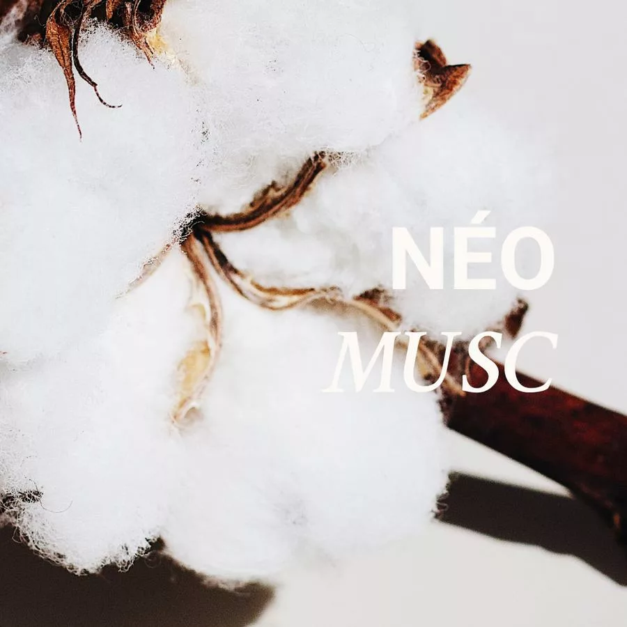 Dimanche flemme - 005 NÉO MUSC - Versatile – Image 3