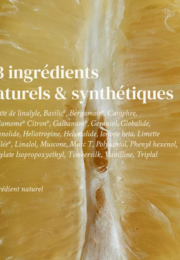 Dimanche flemme - 005 NÉO MUSC - Versatile – Image 4