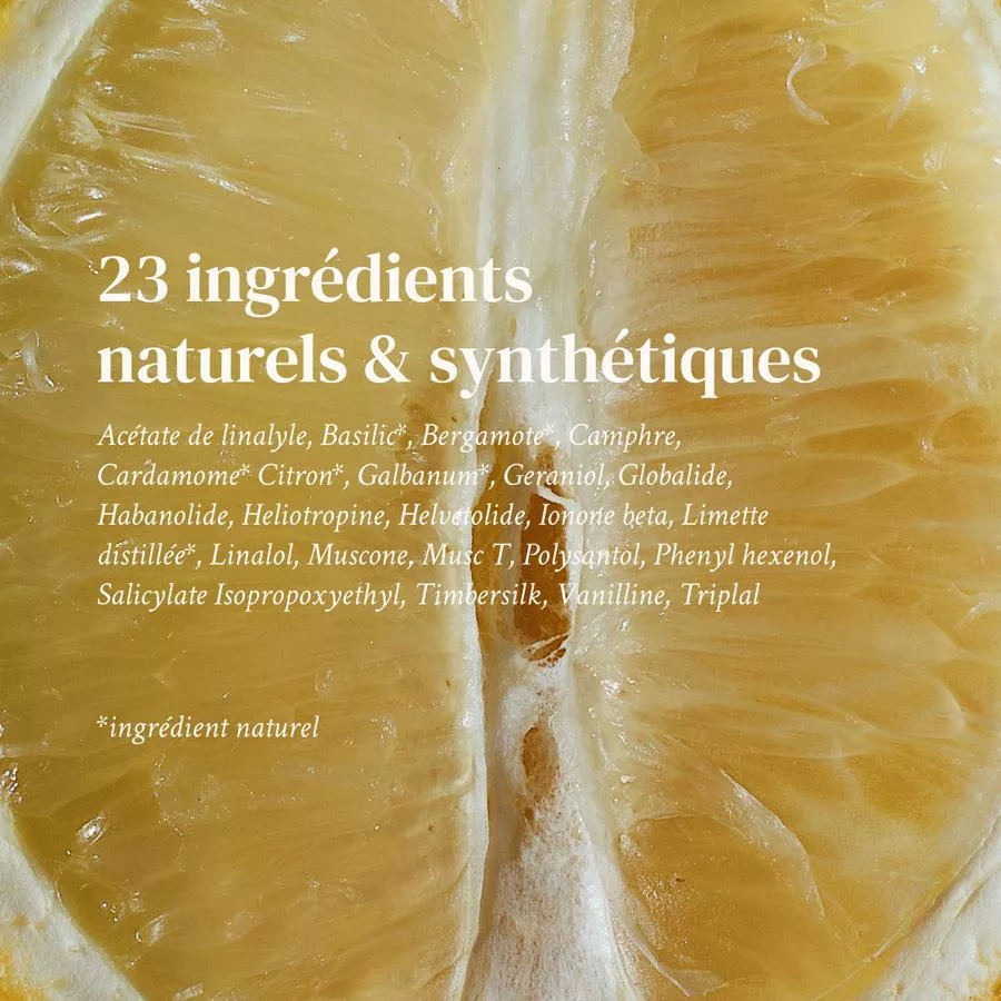 Dimanche flemme - 005 NÉO MUSC - Versatile – Image 4