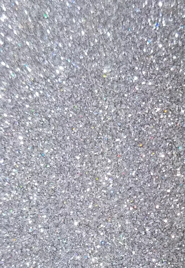 Paillettes Biodégradables 5ml - Holo Argenté Fine - Si si la paillette – Image 2