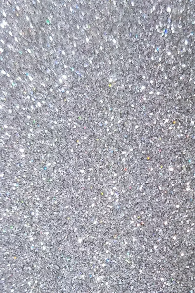 Paillettes Biodégradables 5ml - Holo Argenté Fine - Si si la paillette