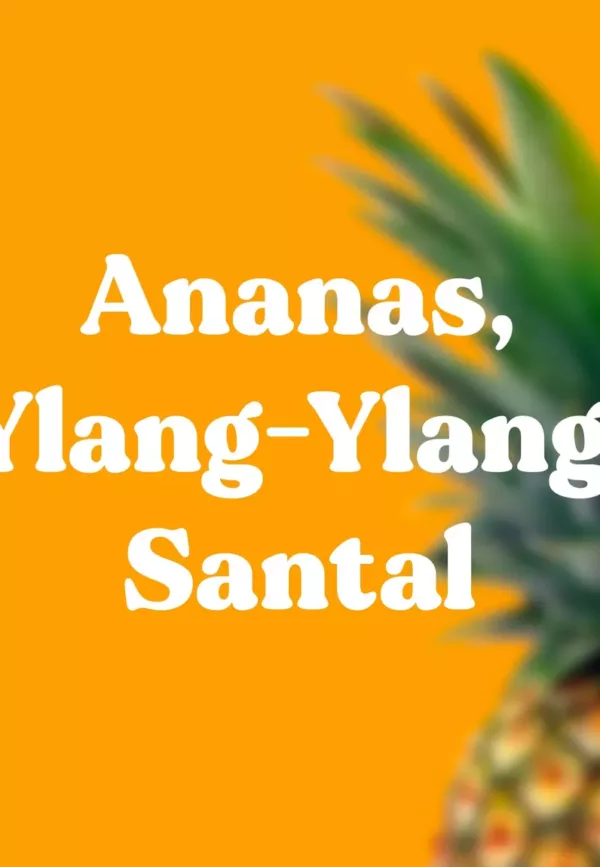 25 bâtons encens naturels Sweet Sand - ANANAS, YLANG YLANG, BOIS DE SANTAL – Image 3