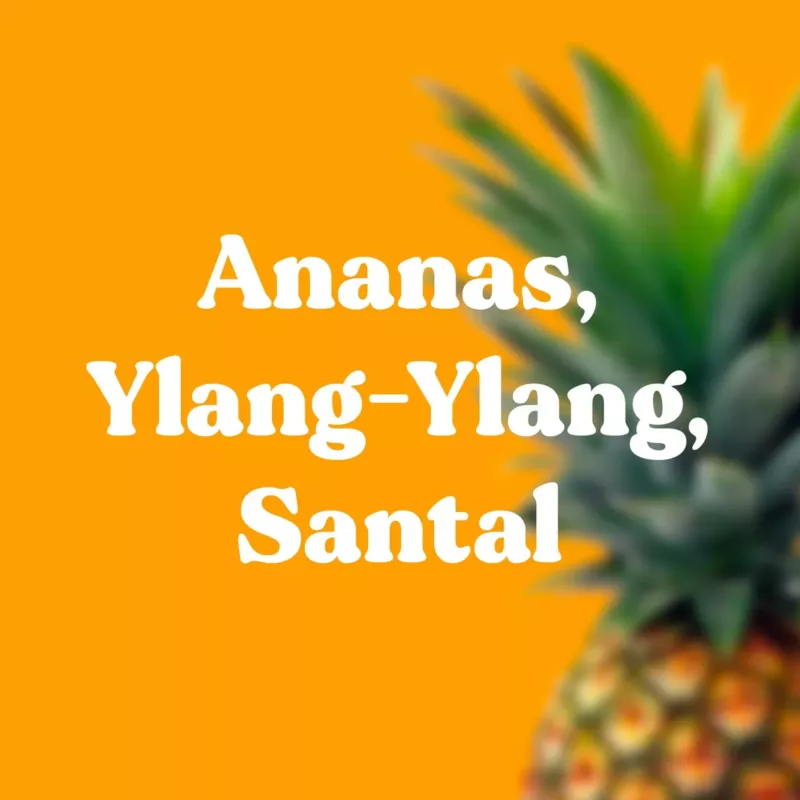25 bâtons encens naturels Sweet Sand - ANANAS, YLANG YLANG, BOIS DE SANTAL