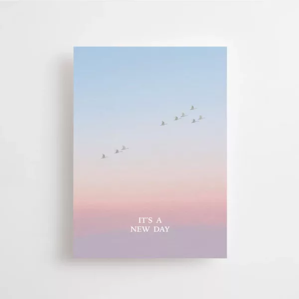 It's a new day - Carte