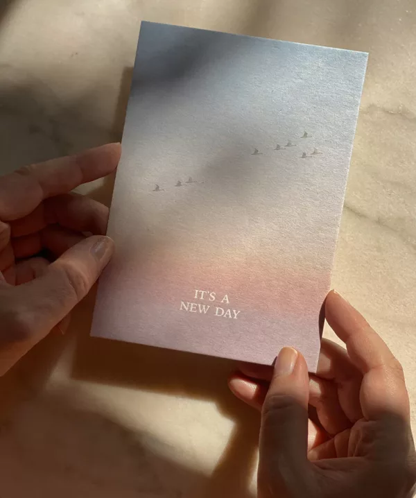 It's a new day - Carte
