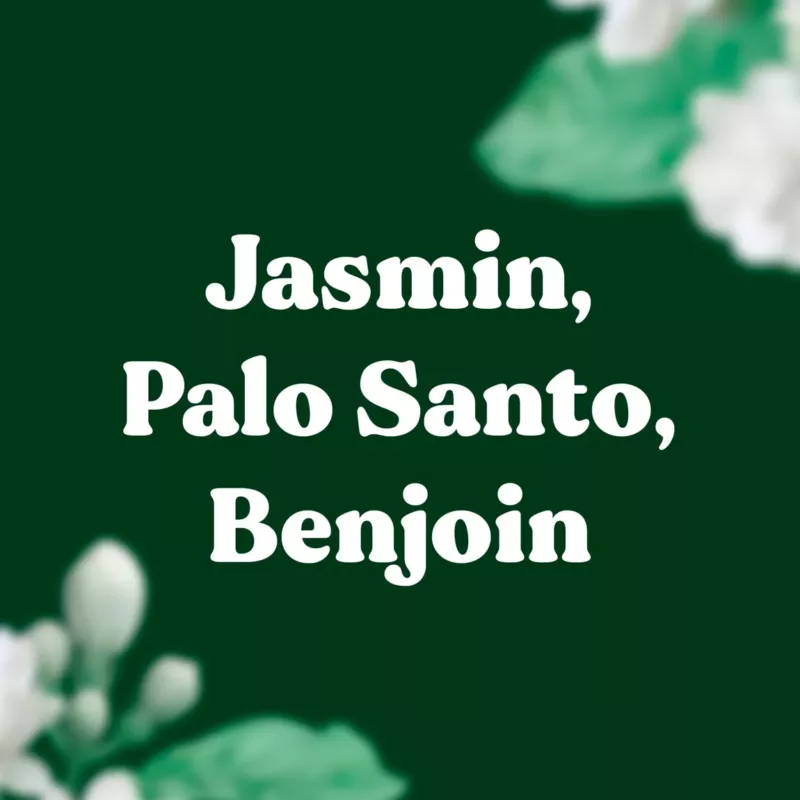 25 bâtons d'encens naturels Dragonfly - JASMIN, PALO SANTO, BENJOIN