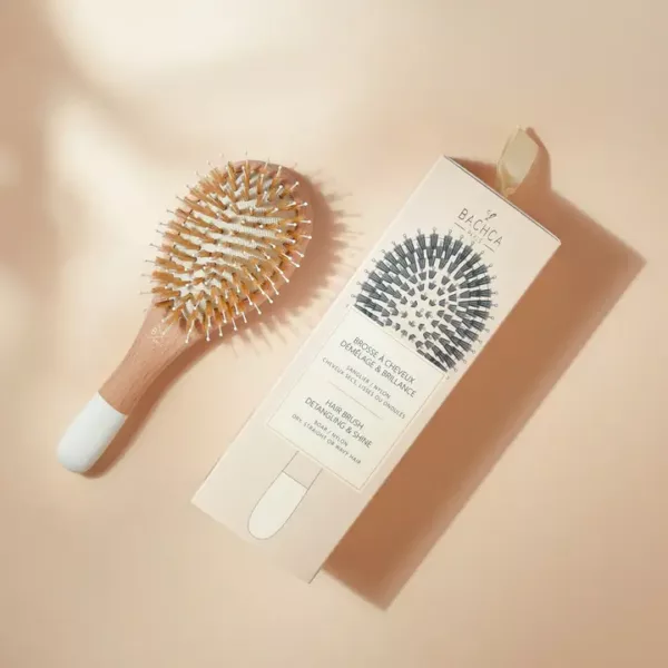 Petite Brosse démêlage et brillance
