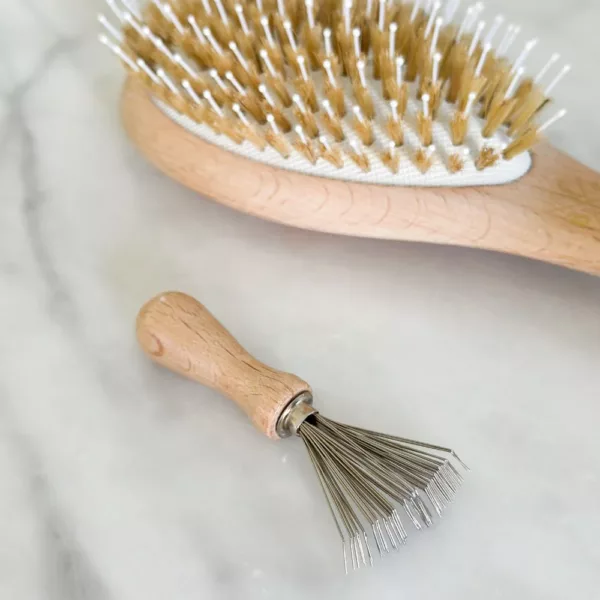 Peigne nettoyant pour brosse