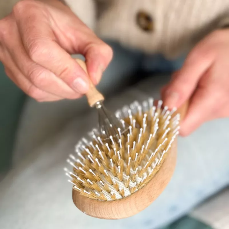 Peigne nettoyant pour brosse