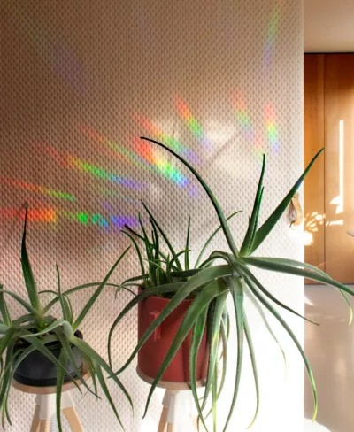 You shine so bright - Sticker créateur d’arc-en-ciel – Image 3