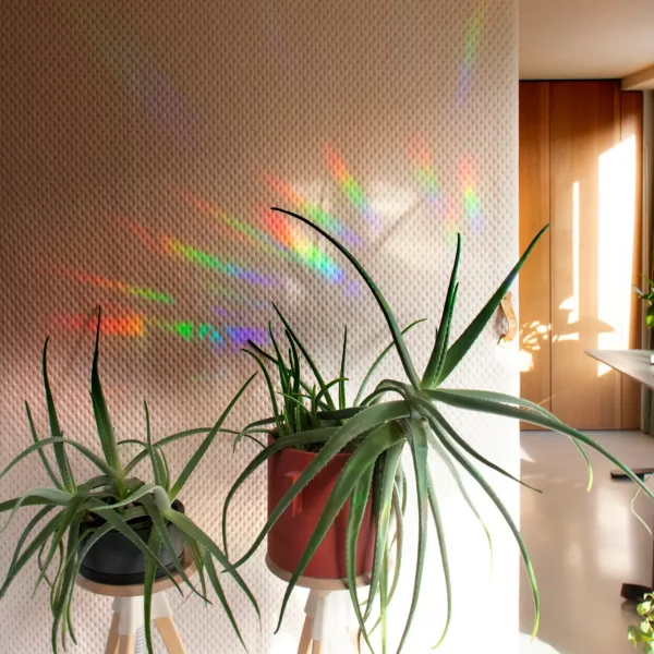 You shine so bright - Sticker créateur d’arc-en-ciel