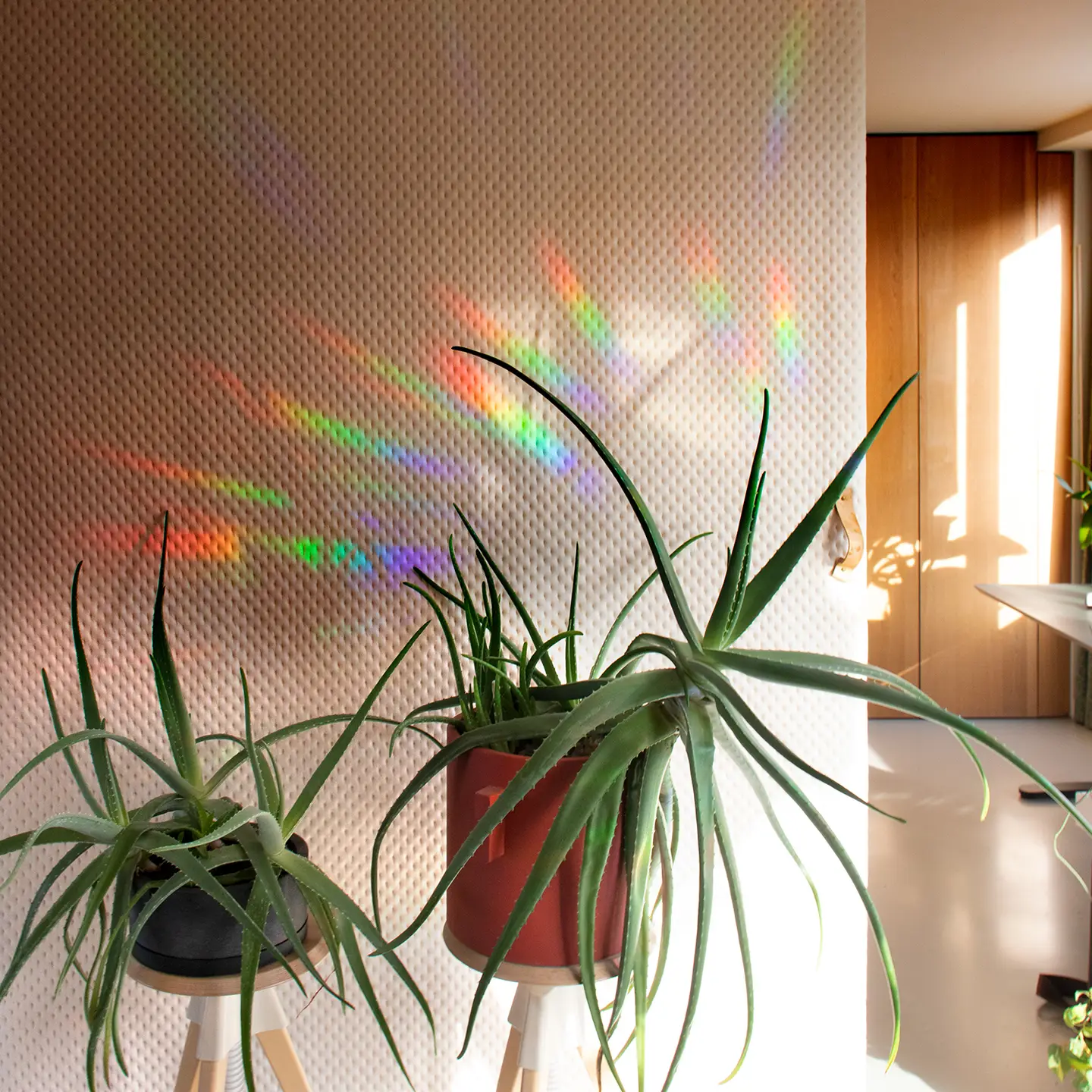 You shine so bright - Sticker créateur d’arc-en-ciel – Image 3