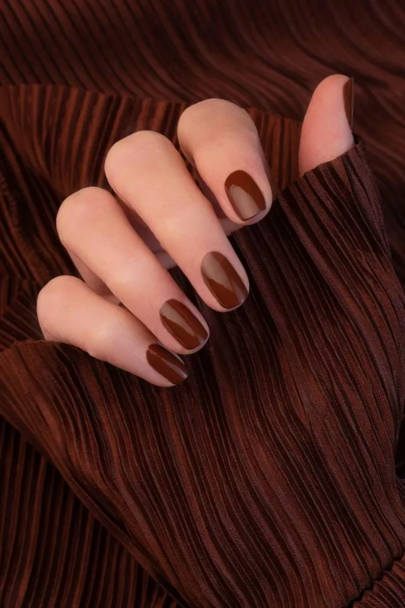 Chestnut - Green Flash