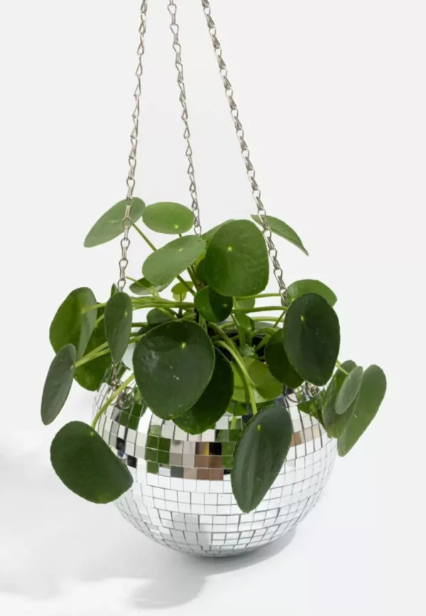 Disco mood - Cache pot disco 15 cm – Image 2