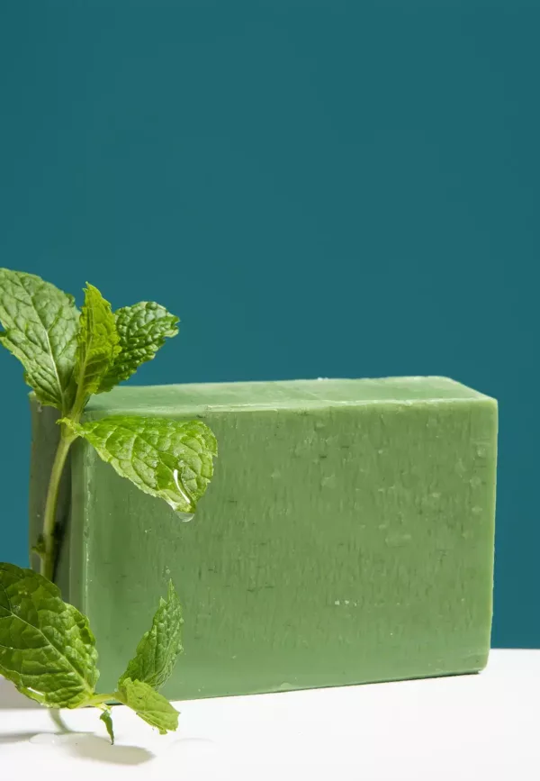 Savon solide Menthe Verte – Image 1