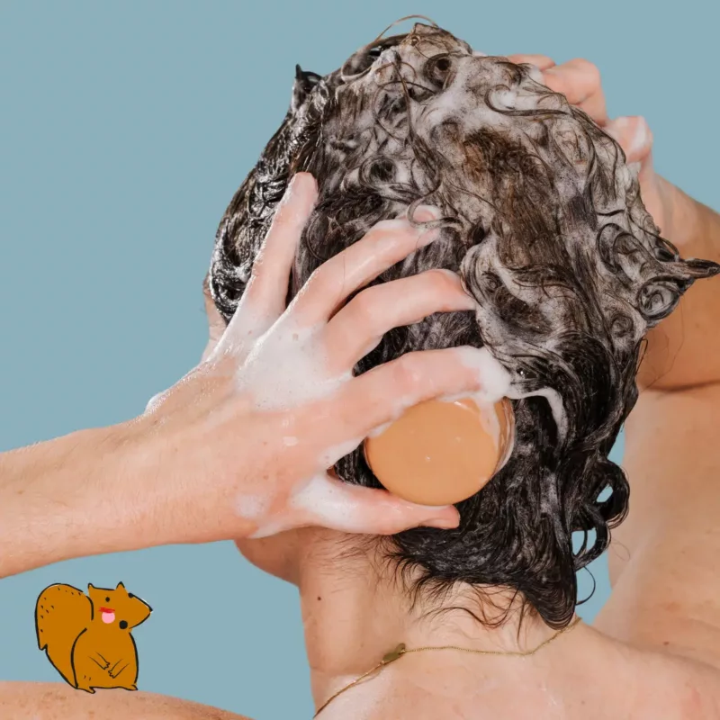 Shampoing solide pour cheveux normaux - Wash Wash Cousin!