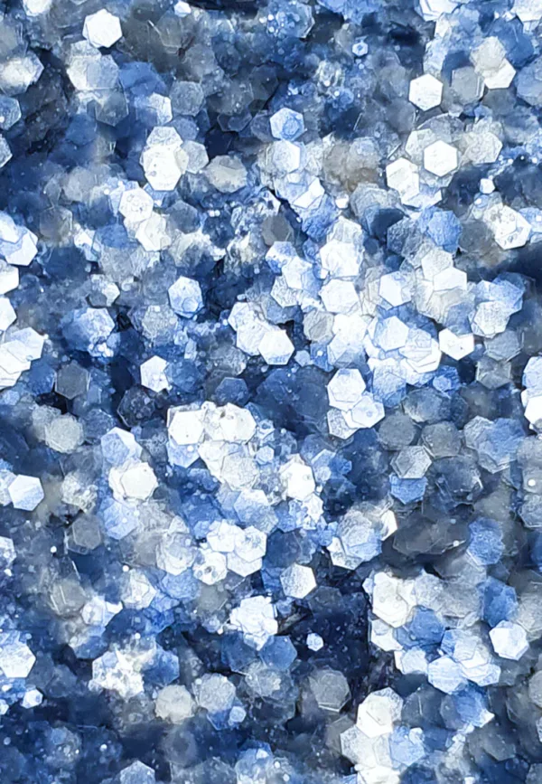 Paillettes Biodégradables - Pure Tout Schuss – Image 2
