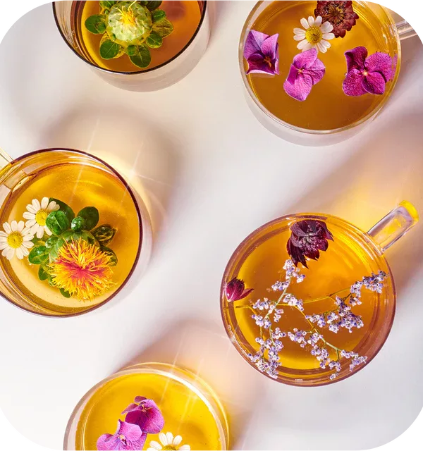 Infusion Triple Menthe & Cacao - Vrac – Image 2