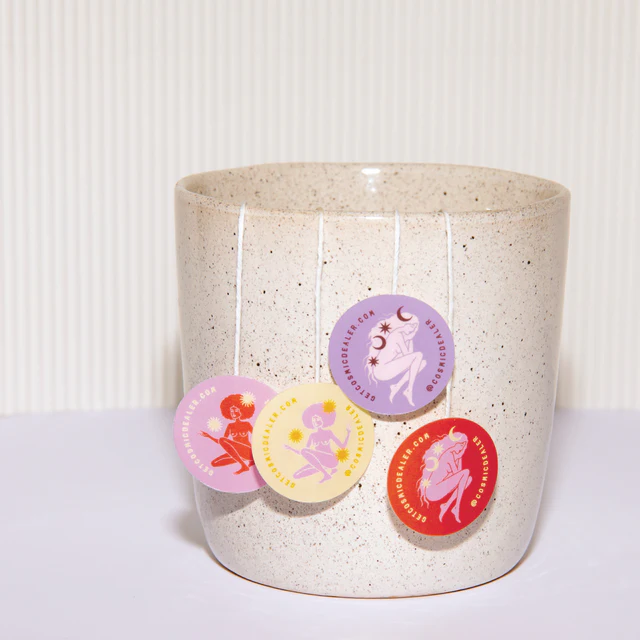 Thé blanc au Chai et au Curcuma - Sachets