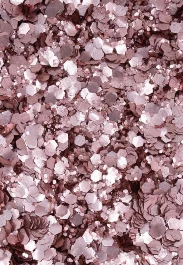 Paillettes Biodégradables - Coco Cannelle – Image 2