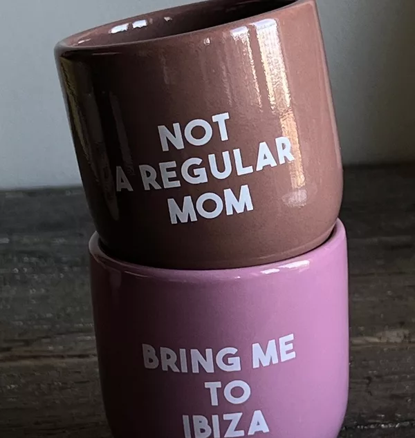 Not a regular mom – Image 3
