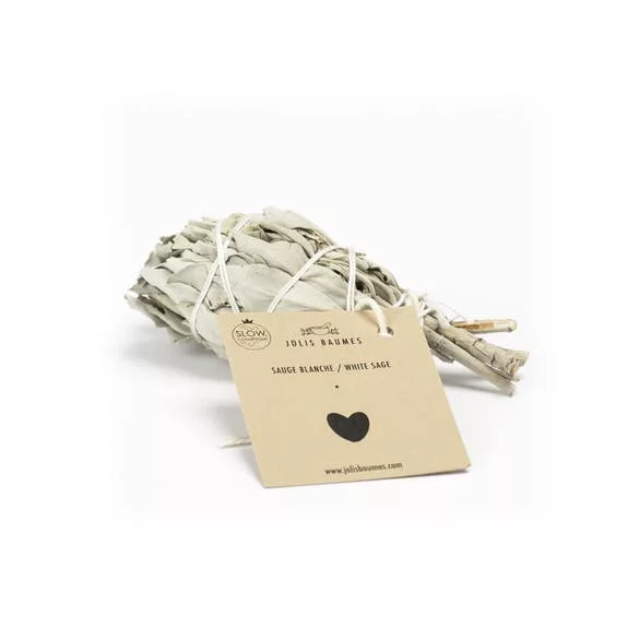 Sauge Blanche de Californie