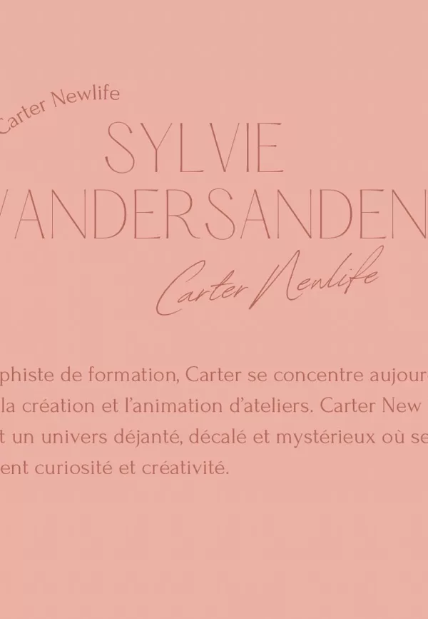 Délice la box - AuNOR – Image 8